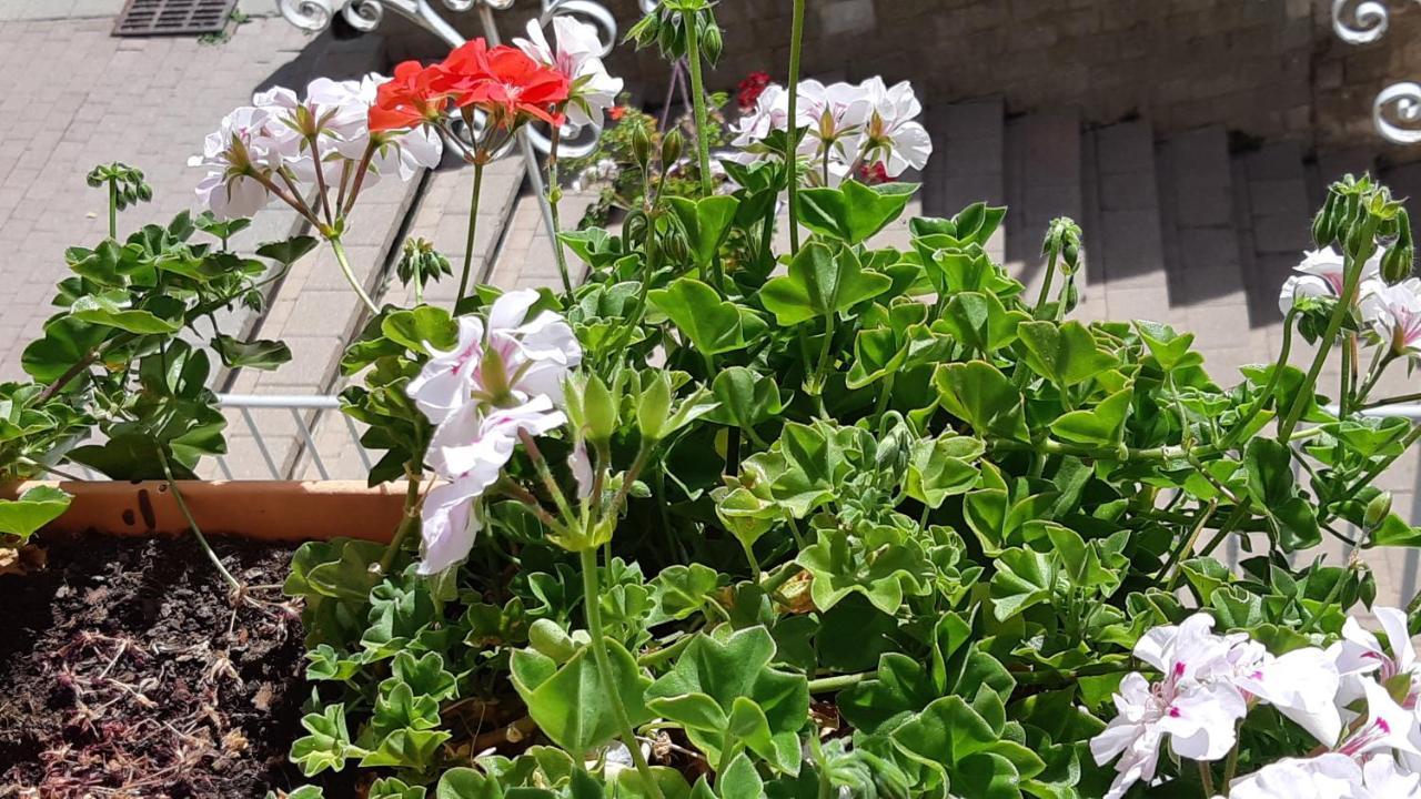 Maison A Tour Briancon מראה חיצוני תמונה